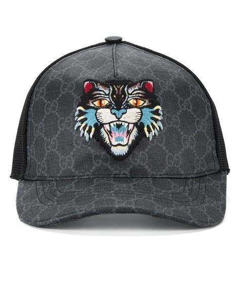 angry cat gucci hat|Gucci dog and cat.